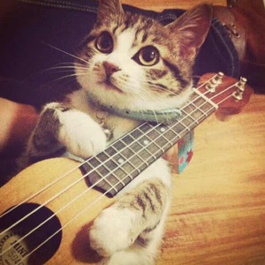 青岛老汉约2女被下药
